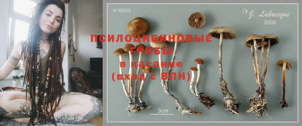 эйфоретик Зерноград