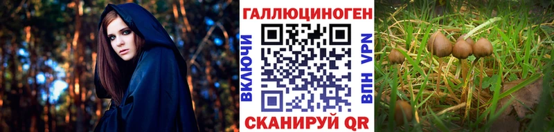 Купить закладки  Крым  Псилоцибиновые грибы Psilocybine cubensis 